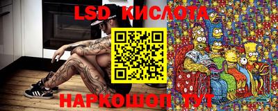мдпв Новодвинск
