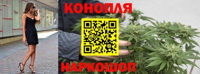 трава Новокубанск